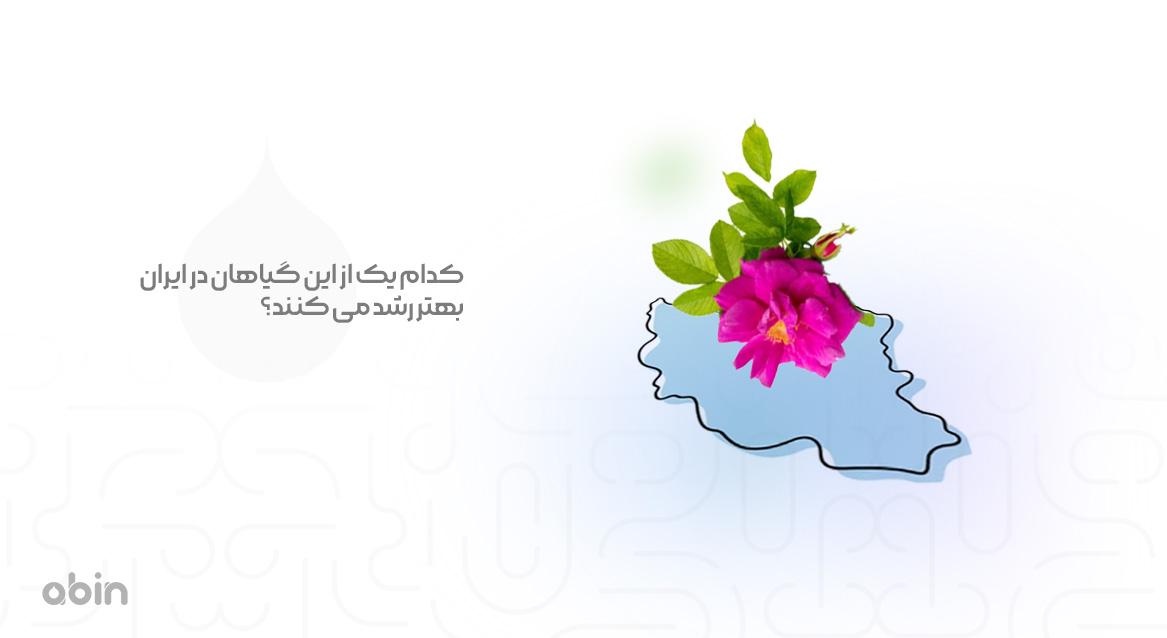 کدام ‌یک از این گیاهان در ایران بهتر رشد می کنند